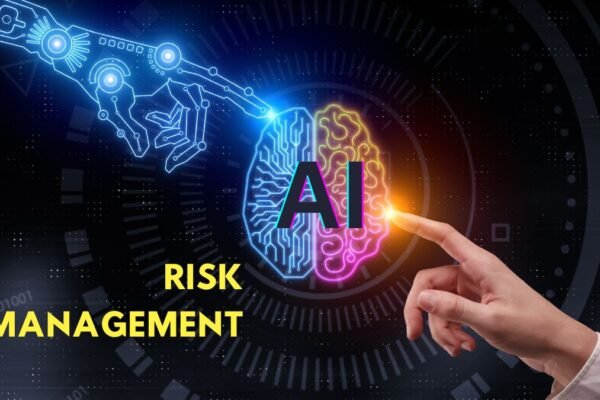 AI Risk Management